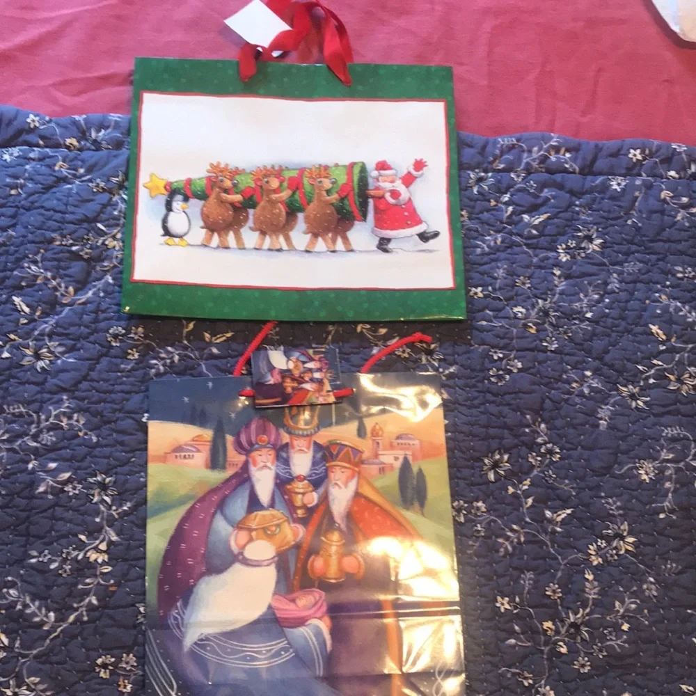 Bags Bundle of Christmas Gift Bags